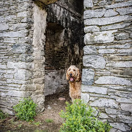 Coachman's Loft Apartamento