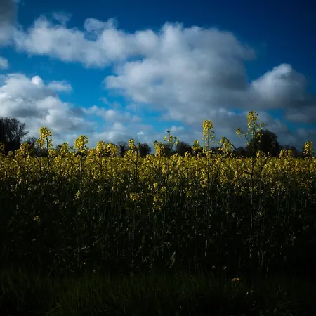 Rockfield House Apartment Kells (Meath)
