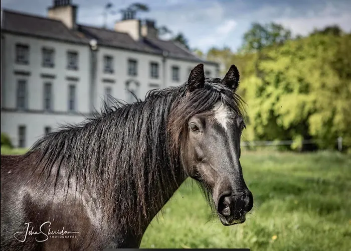 Lägenhet Coachman's Loft Kells (Meath)