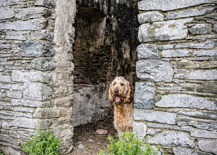 Coachman's Loft Appartement
